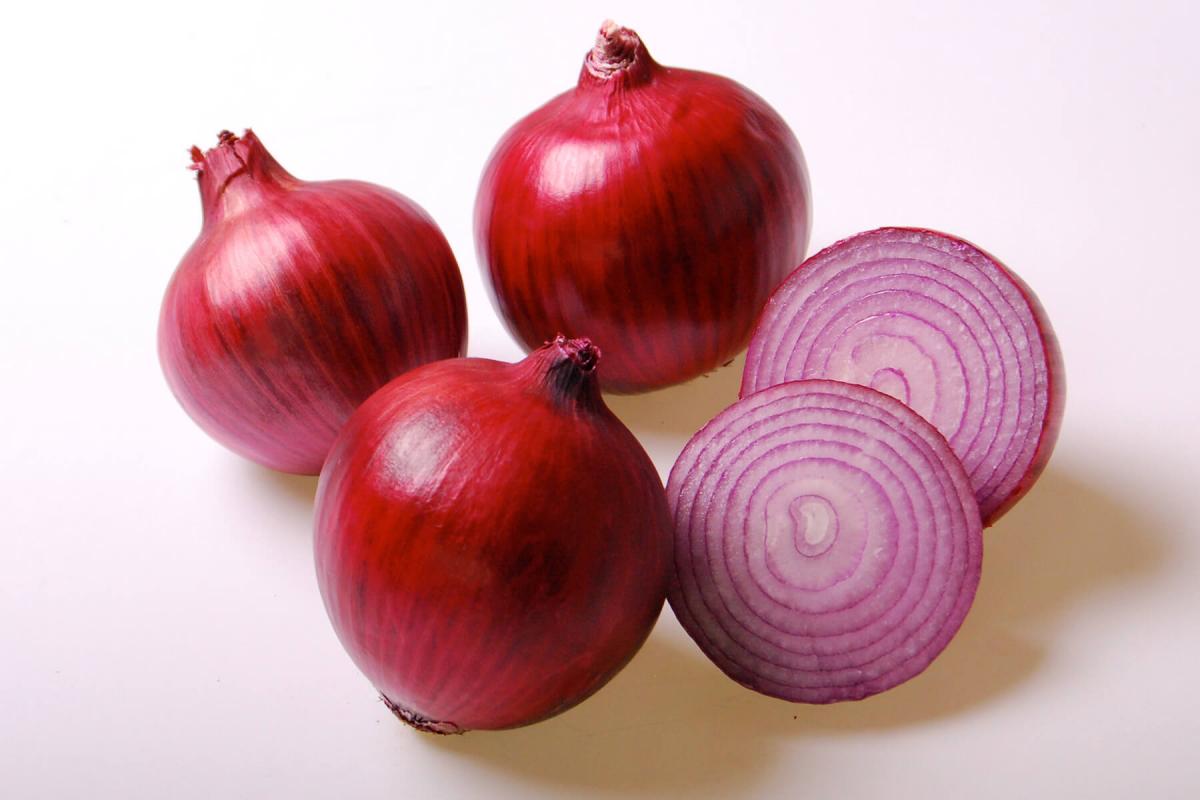 Crookham Onion Purple Haze