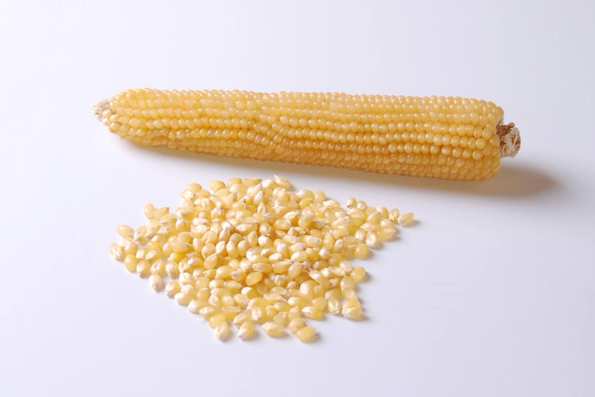 R98114W Crookham Popcorn R98114W