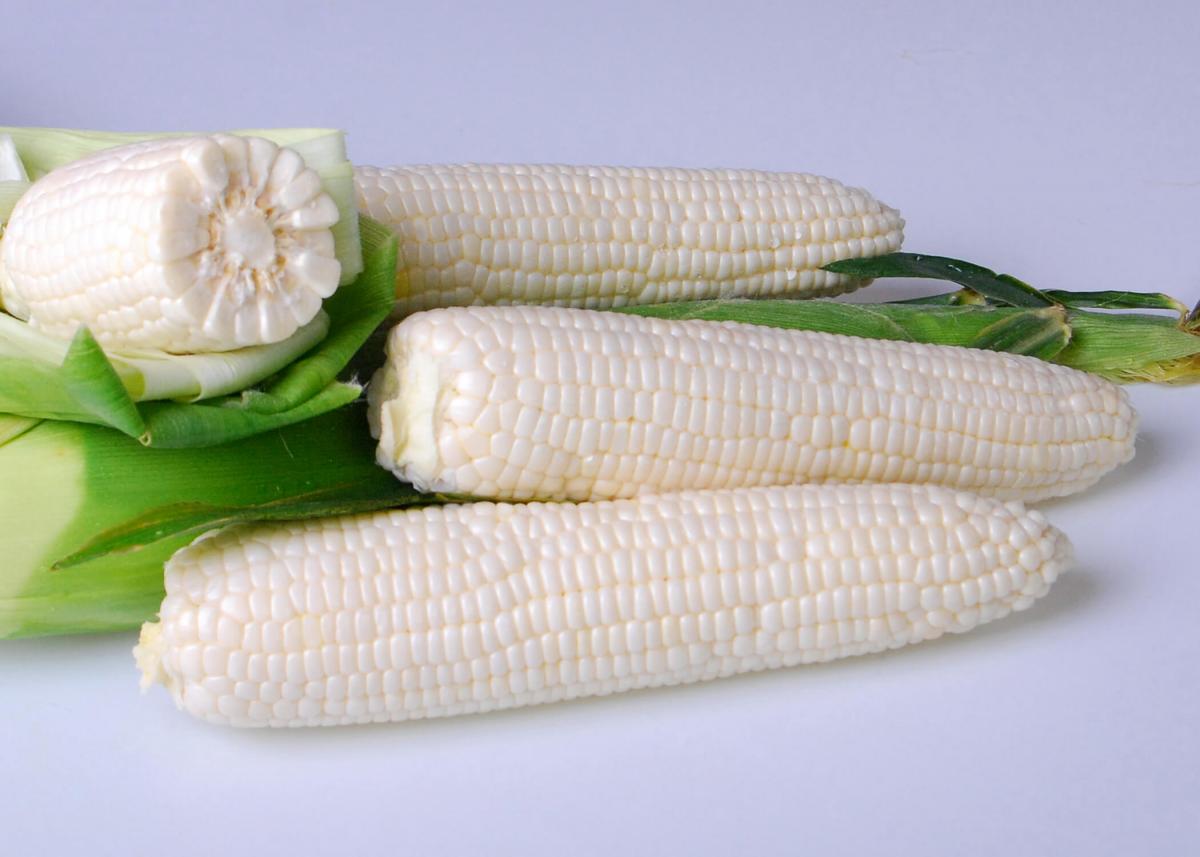 Crookham Sweet Corn Seed Argent 