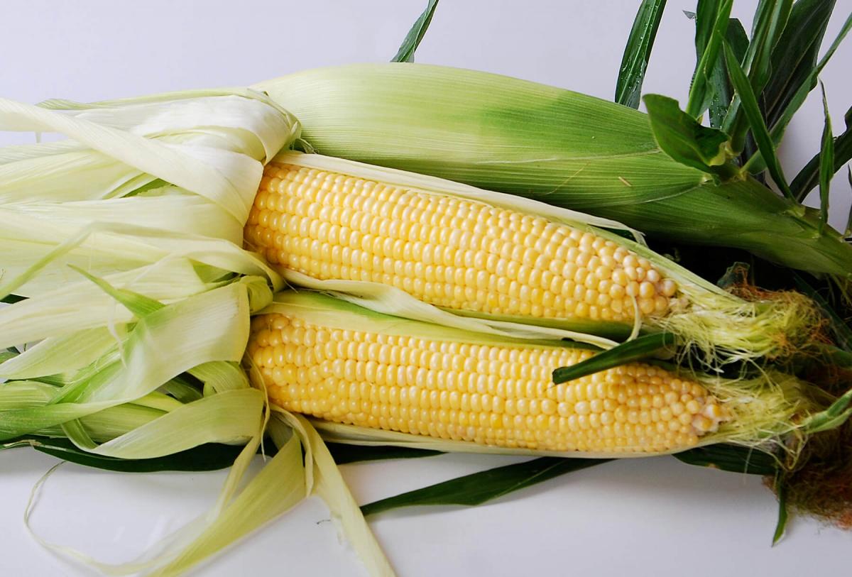 Crookham Sweet Corn Daytona