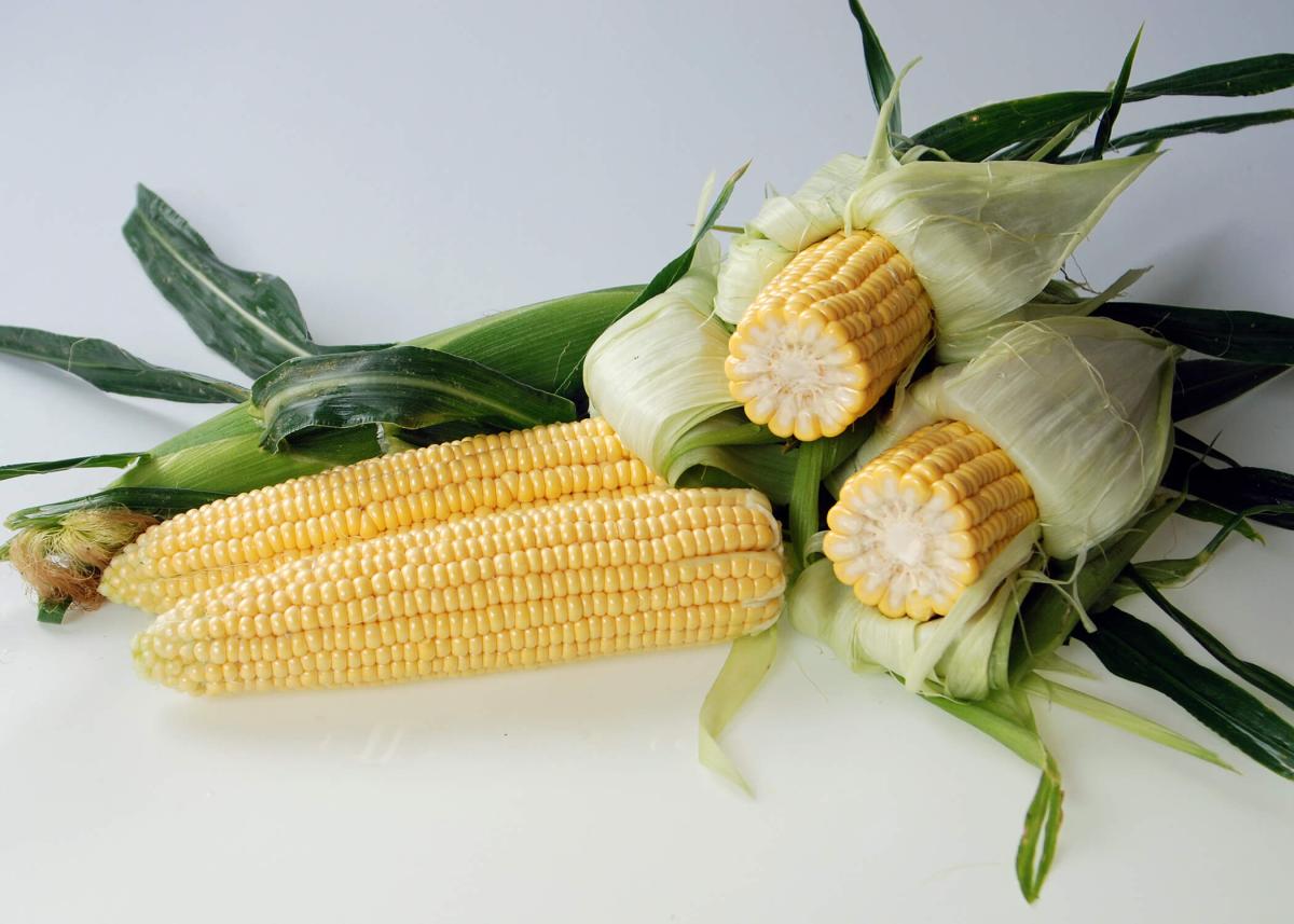 Crookham Sweet Corn Samson