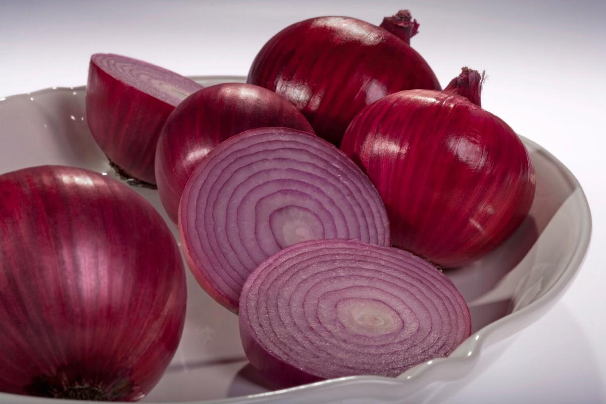 Red Beret Long Day Crookham Onion Crookham Onion Red Beret