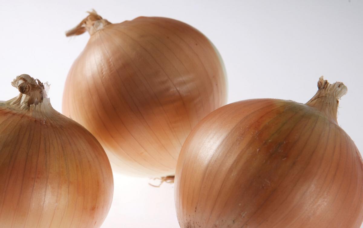 Crookham Onion Somerset