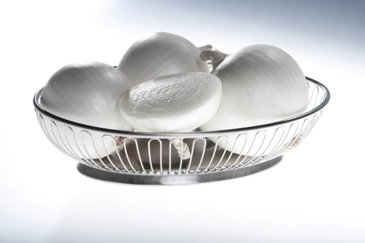 White Cloud Crookham Long Day Onion Crookham Onion White Cloud
