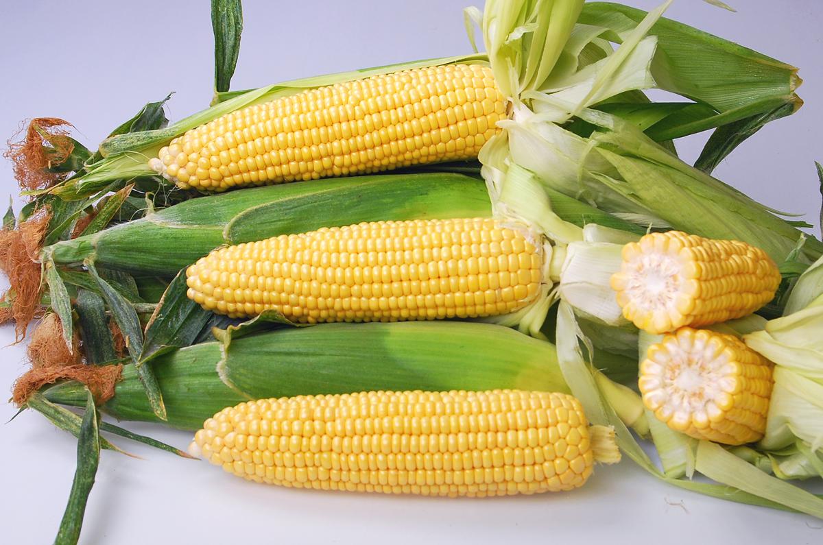 Crookham SweetCorn_Noa