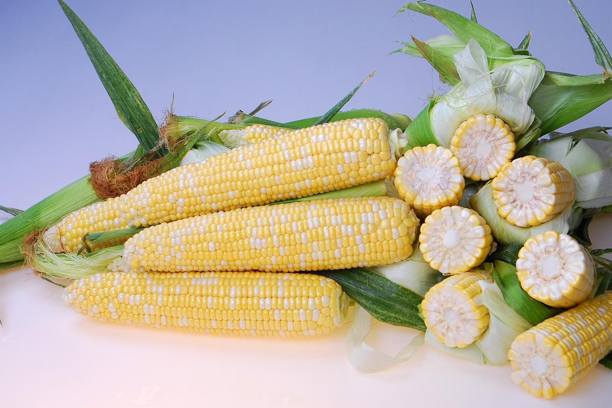 Crookham SweetCorn_Ontario