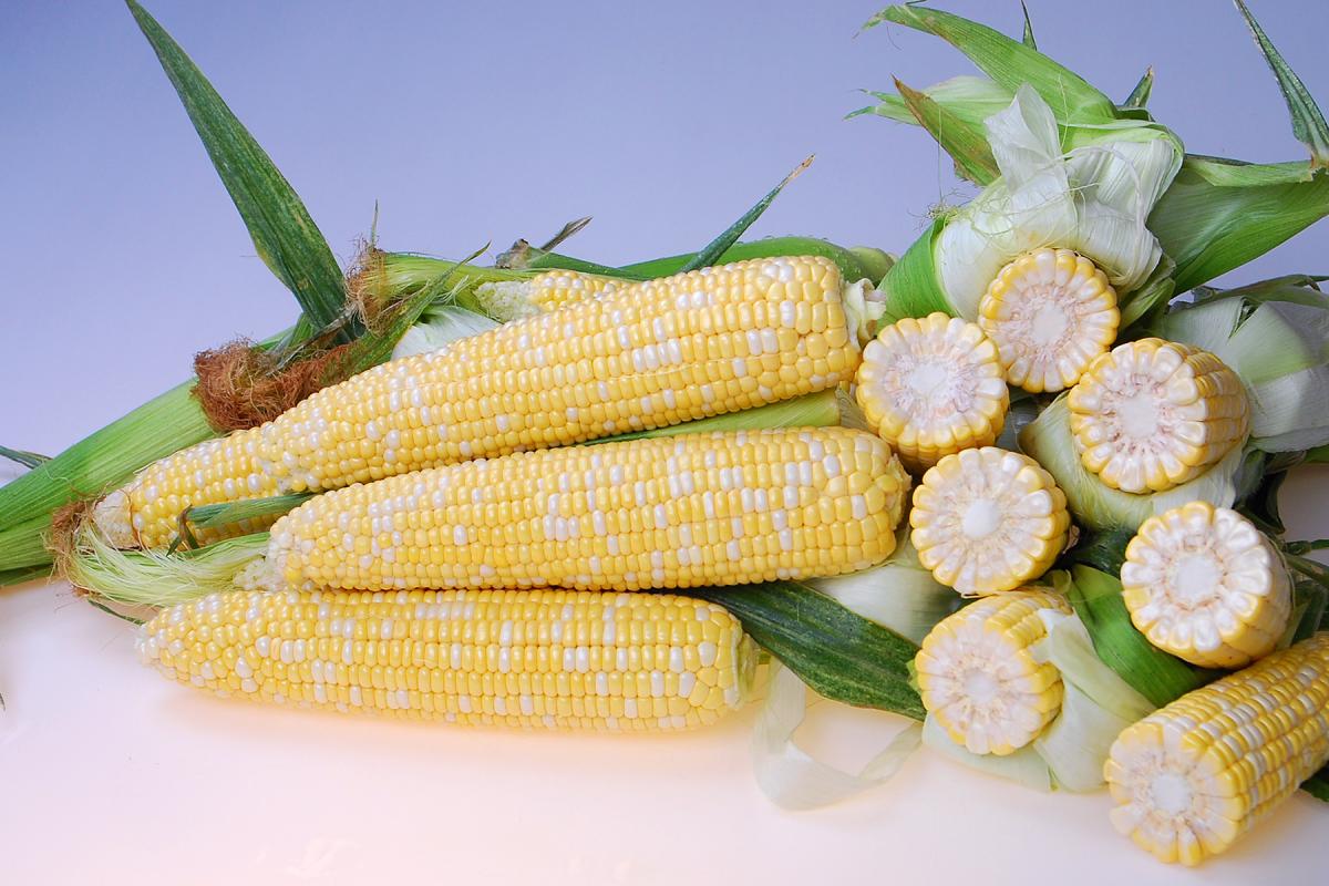 Crookham SweetCorn_Ontario