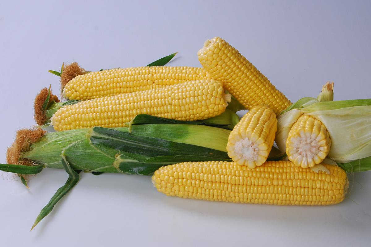 Crookham_SweetCorn_Talladega