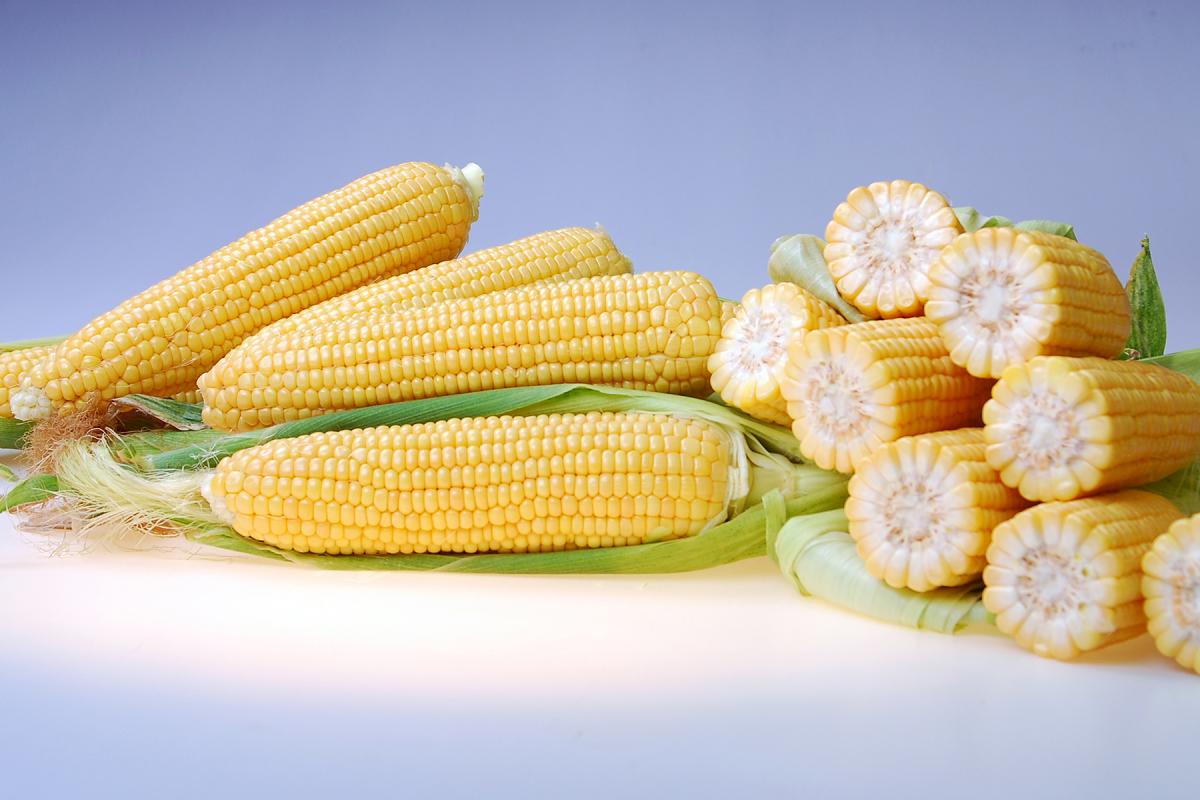 15-988 Crookham Sweet Corn Processors