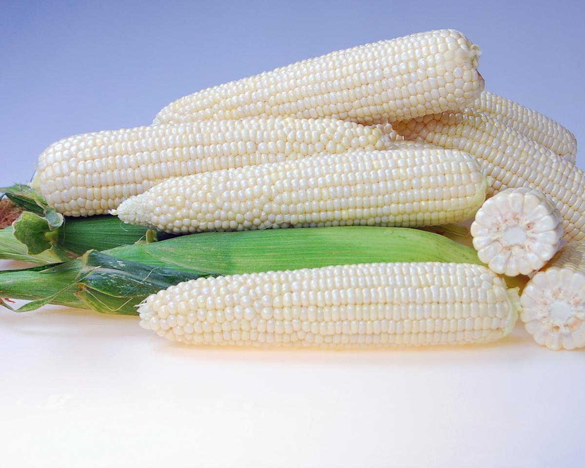 Baja Crookham SweetCorn Processor