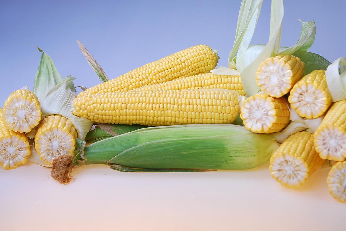 Bratella Crookham Sweet Corn Processor