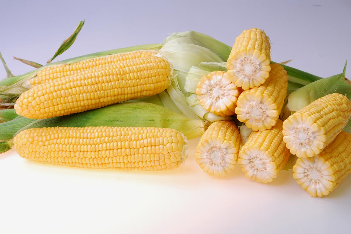 Salyna Crookham SweetCorn Processors