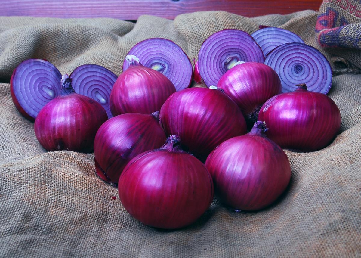 Valentine Short Day Onion