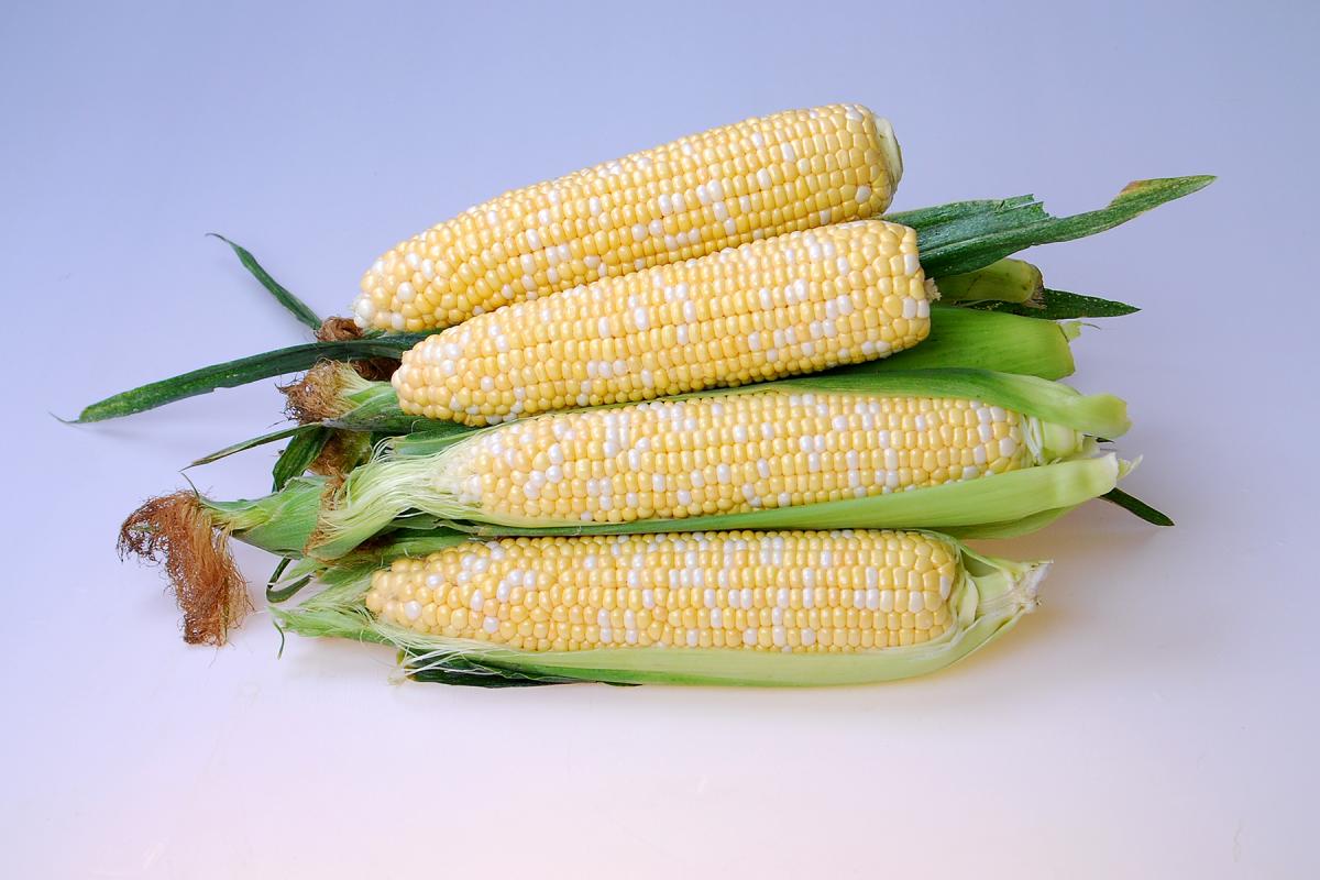 Inspiration Crookham Sweet Corn Fresh Market_16_1030 Inspiration Crookham Sweet Corn Fresh Market_16_1030