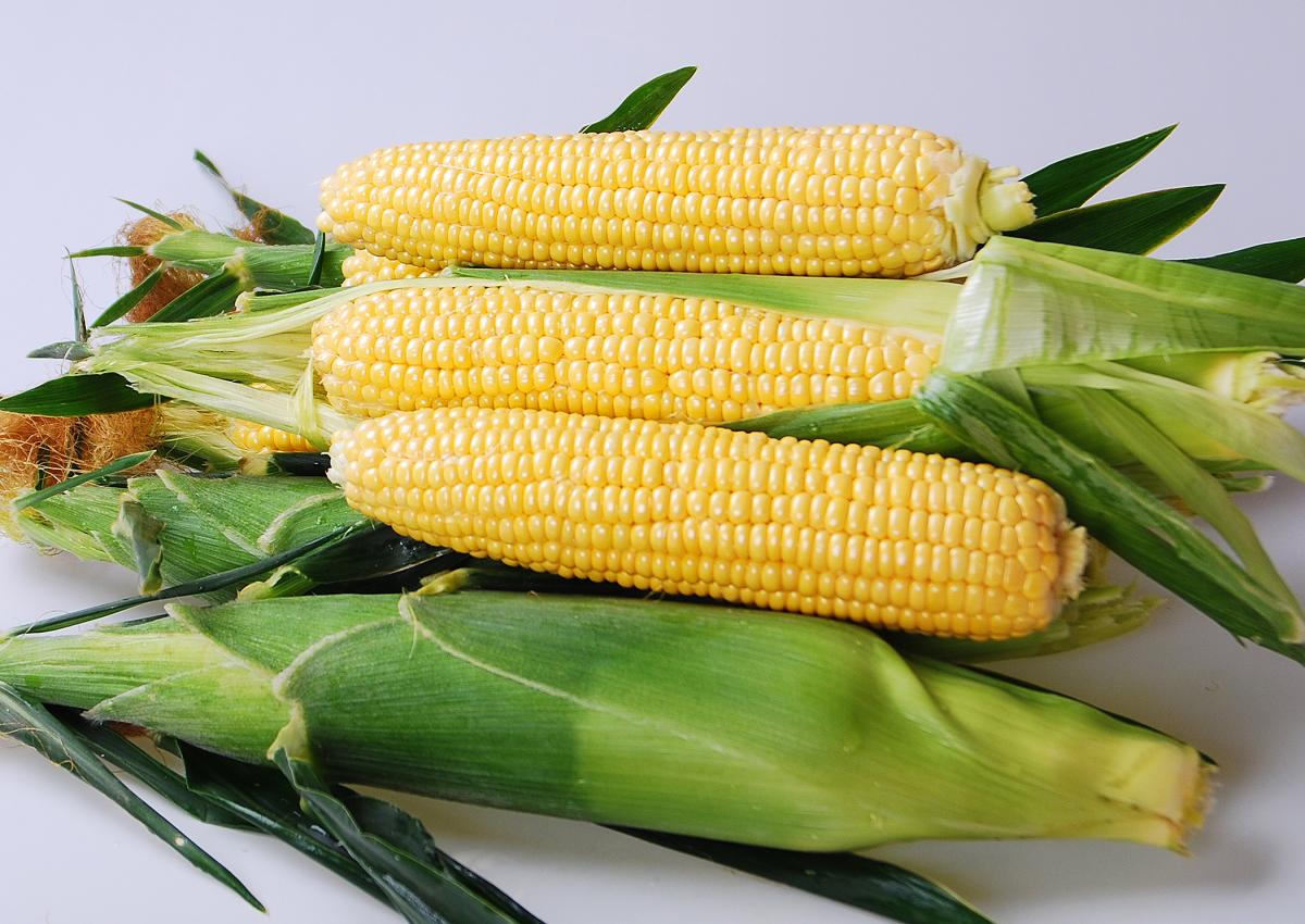 Equinox Processing Sweet Corn Crookham Company Equinox Crookham Company Sweet Corn