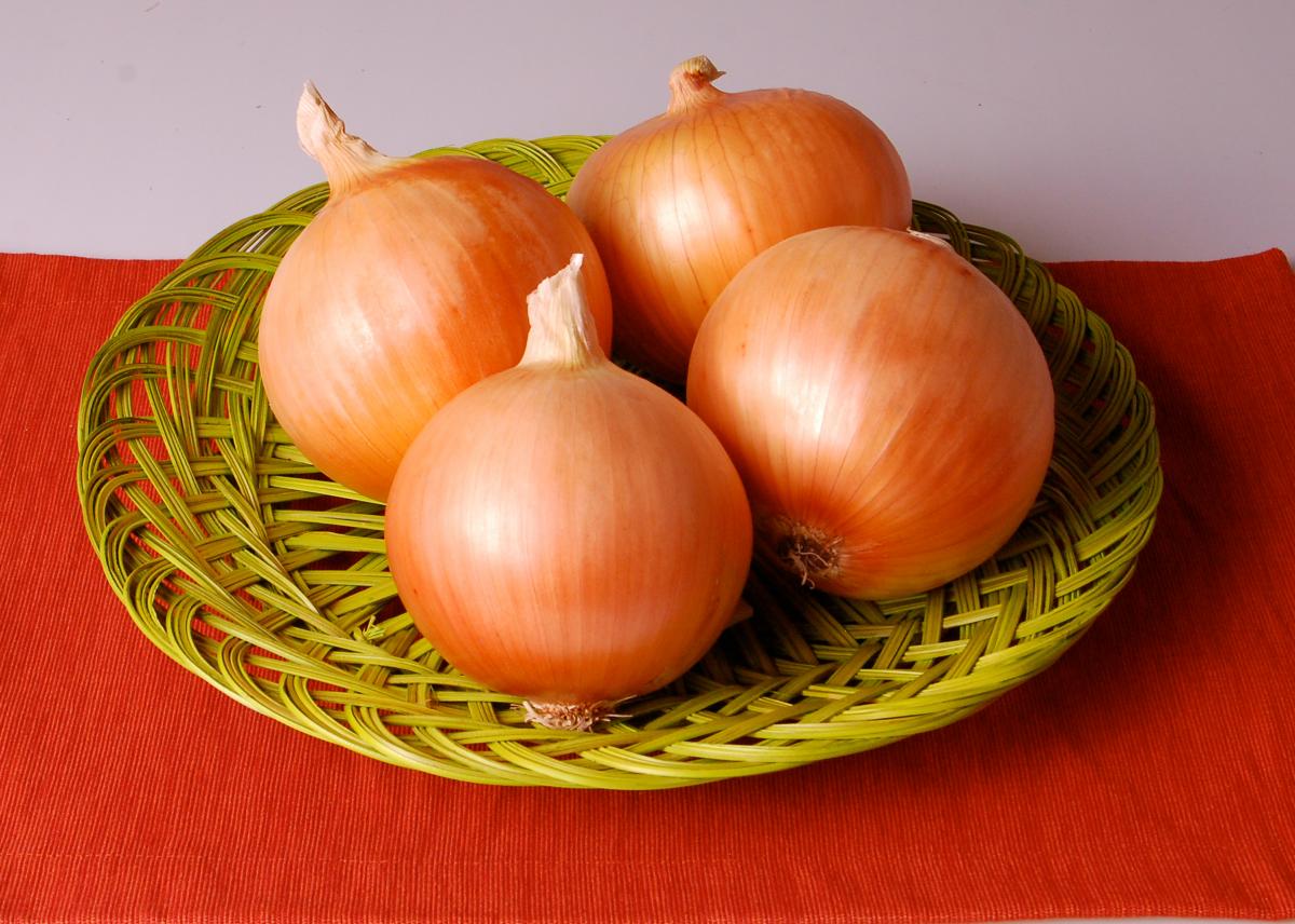 Vanguard Crookham Intermediate Onions Vanguard Crookham Intermediate Onions
