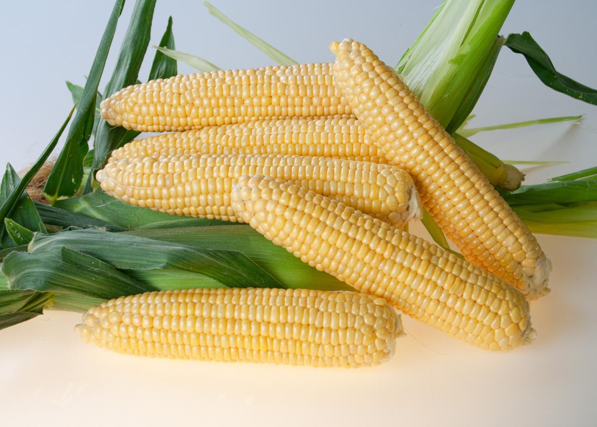 Equinox Crookham Company Sweet Corn Augmented Equinox Crookham Company Sweet Corn Augmented CAPYF14-918i
