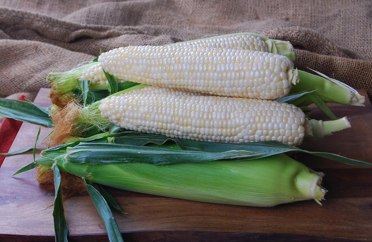 Diamond Mine CSQWF15-1007_Crookham Sweet Corn QuadSweets Diamond Mine CSQWF15-1007_Crookham Sweet Corn QuadSweets