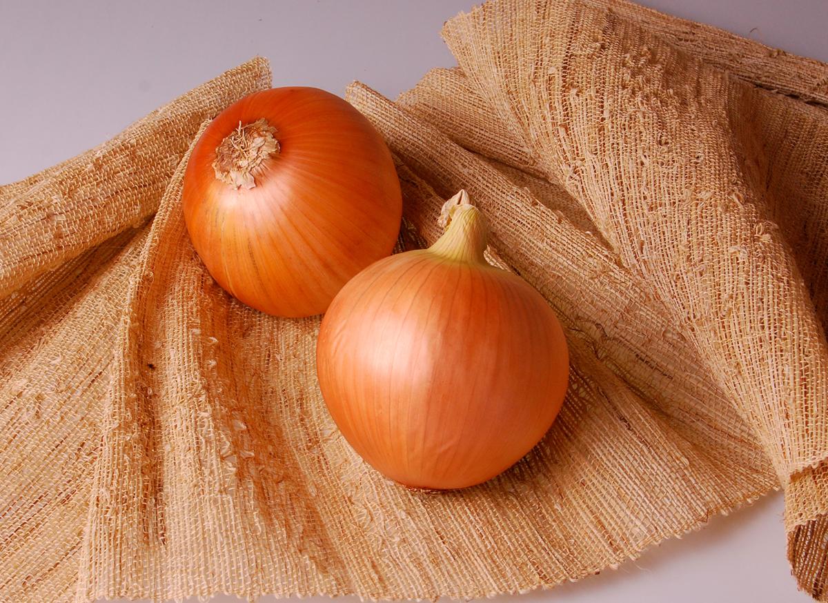 Acadia Intermediate Onion Seed Crookham Company Intermediate Onion Seed Crookham Company Acadia