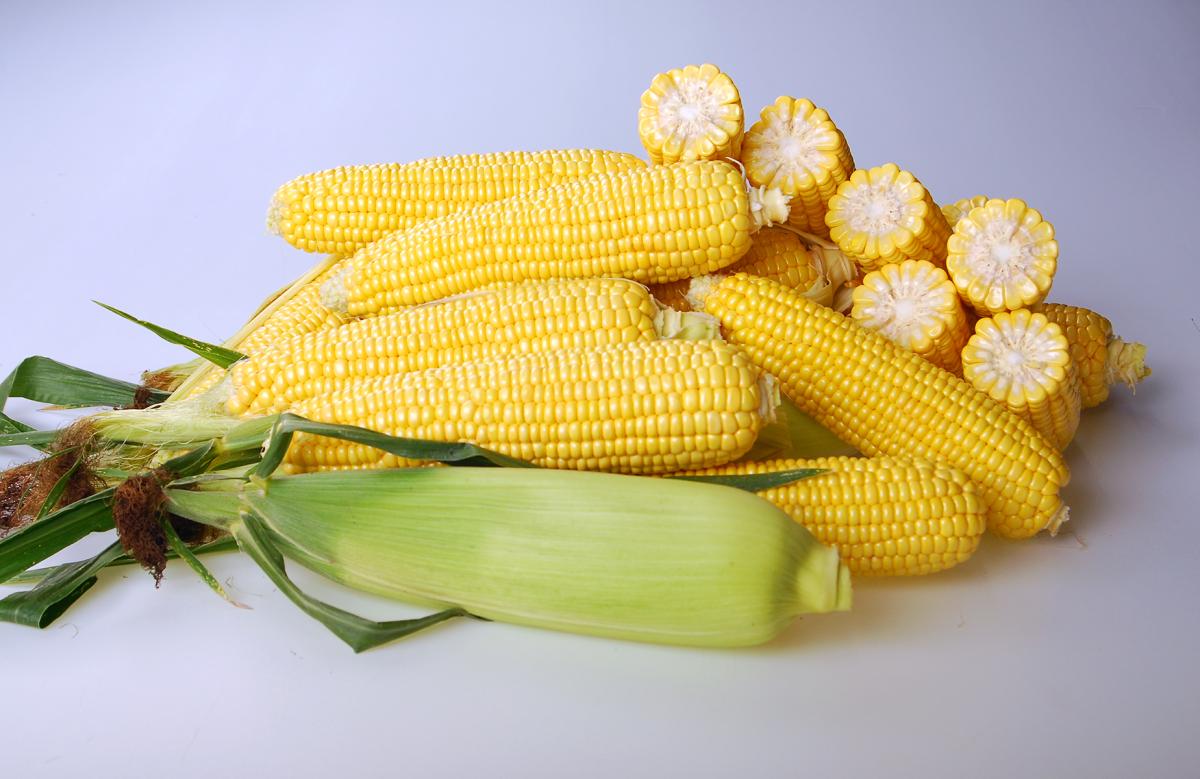 CSHYP17-1231 Sweet Corn Processor Crookham Company Seed