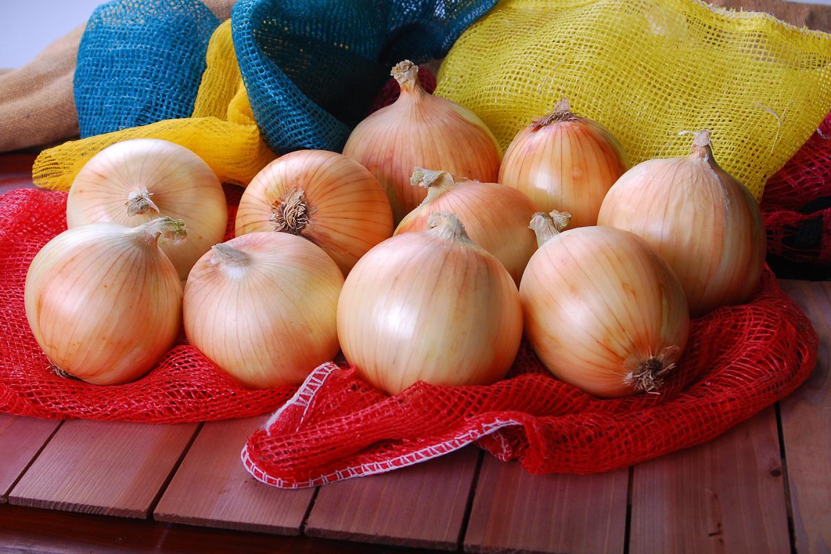 Delightful Intermediate Onion Crookham Seed Delightful OIYS15-0092 Intermediate Onion Crookham Seed