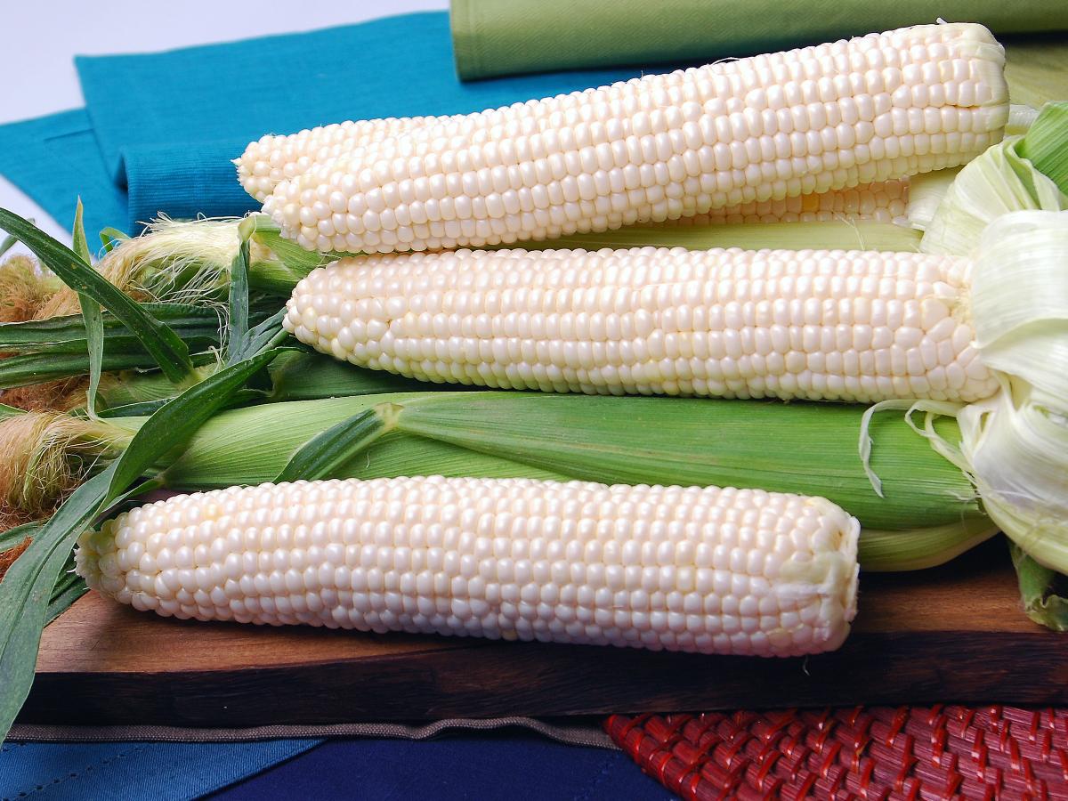 Silver Duchess Crookham Sweet Corn Seed Synergistic Table Top CSYWF7-260 Silver Duchess Synergistic Crookham Sweet Corn Seed