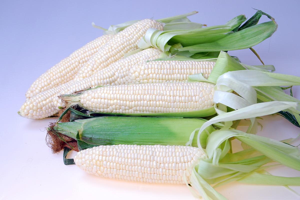 White Lightning 15-1000 Sweet Corn on Table Fresh Market