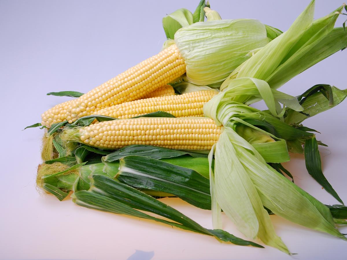 16-1027 Palisade Crookham Company Sweet Corn Processors