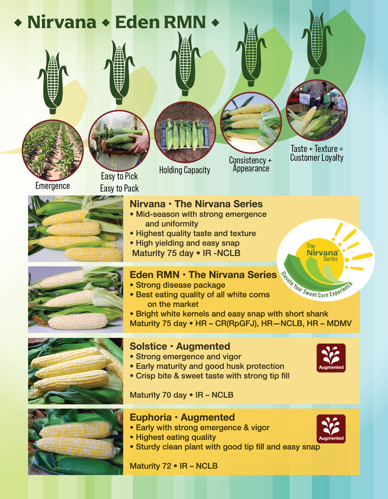 Crookham Sweet Corn for 2021