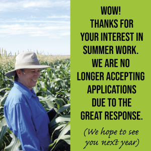 Sumer work applications closed